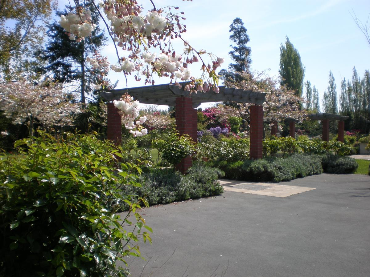 Shamrock Garden B&B Airport Christchurch Ngoại thất bức ảnh