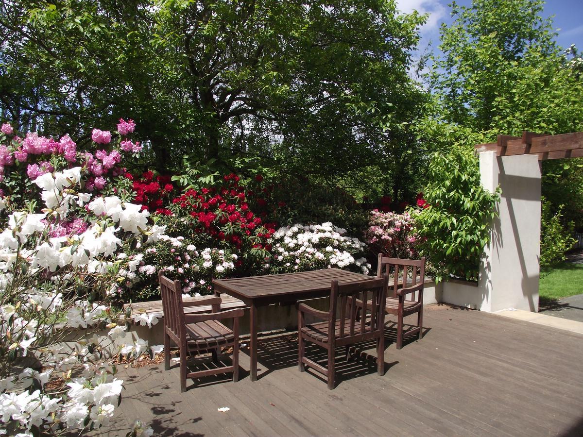 Shamrock Garden B&B Airport Christchurch Ngoại thất bức ảnh